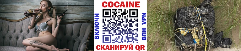 наркотики  Мураши  Кокаин Эквадор 