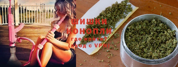 ПСИЛОЦИБИНОВЫЕ ГРИБЫ Новозыбков