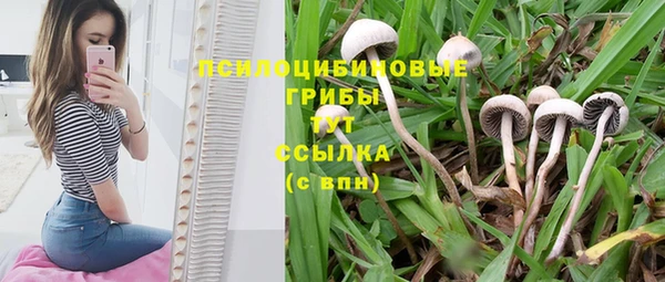 дурь Алзамай