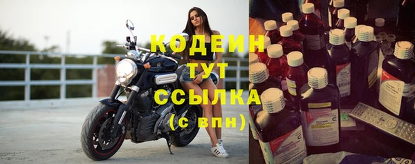 ПСИЛОЦИБИНОВЫЕ ГРИБЫ Новозыбков