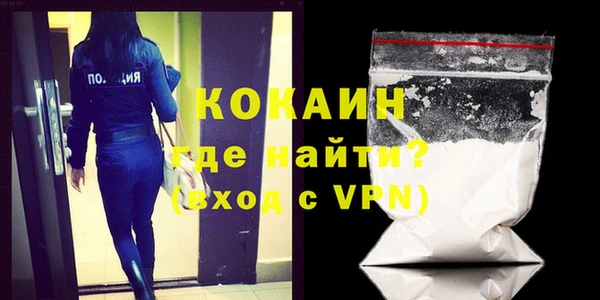 ПСИЛОЦИБИНОВЫЕ ГРИБЫ Новозыбков